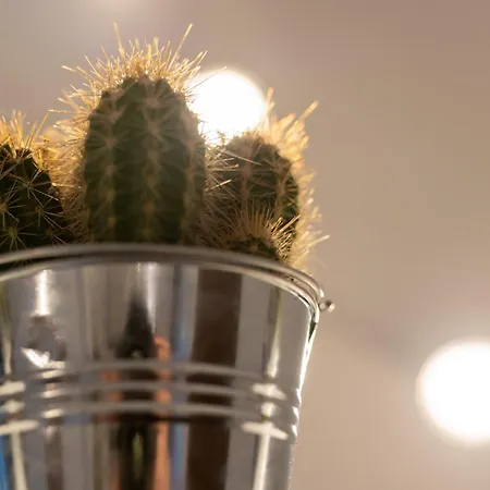 Daire La Dolce - Metro Jonio