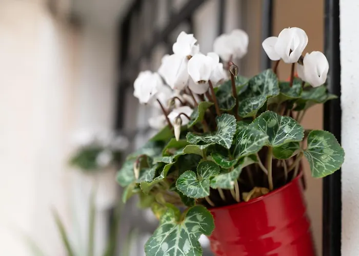 La Dolce - Metro Jonio Apartmán Řím